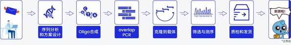 擎科生物基因合成流程图