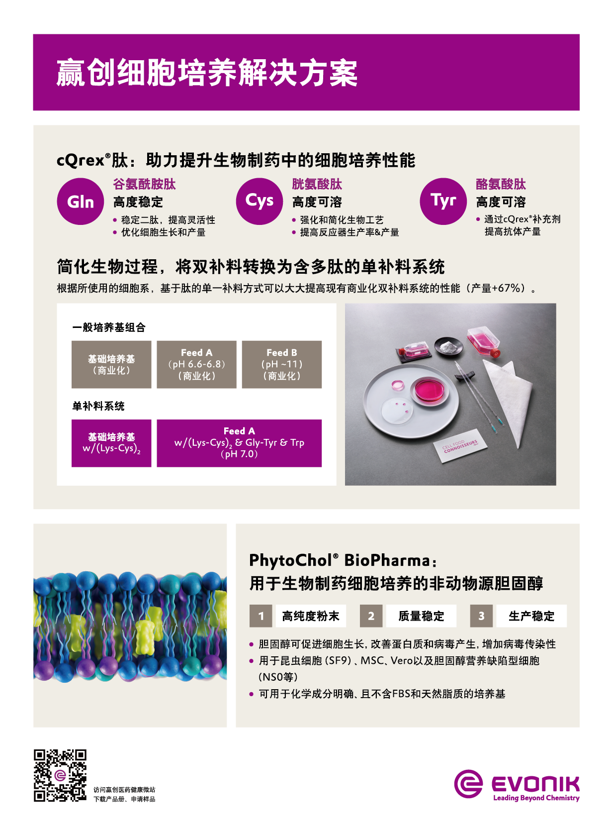 赢创插页-01.png
