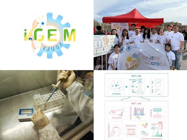 擎科生物助力iGEM团队-TJUSX 打造安全、可控、可复用的活体药物平台 擎科生物助力iGEM团队-TJUSX 打造安全、可控、可复用的活体药物平台