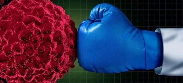 1762399323399695.jpg 557.jpg