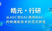 全球已上市ADC药物全景分析(截至2025.10.31) | 皓元医药