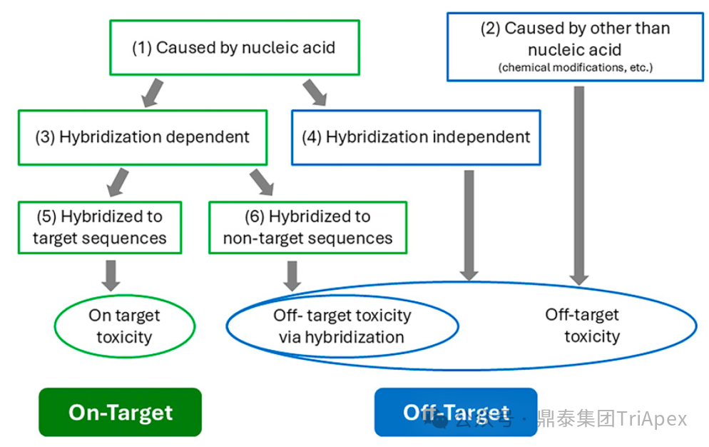 1762757834403062.png 558.png