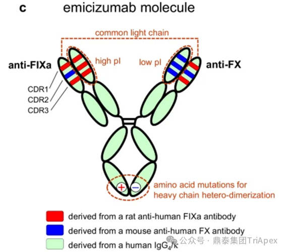 1764223999869462.png 782.png