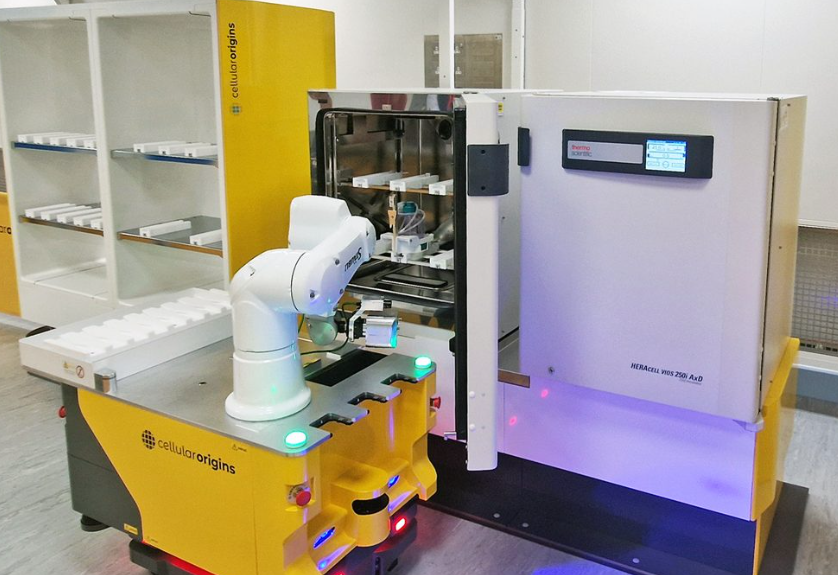 1765433024725400.png 556.png