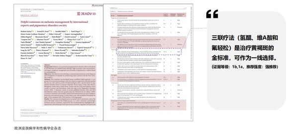 《黄褐斑治疗国际专家共识2025》文献截图