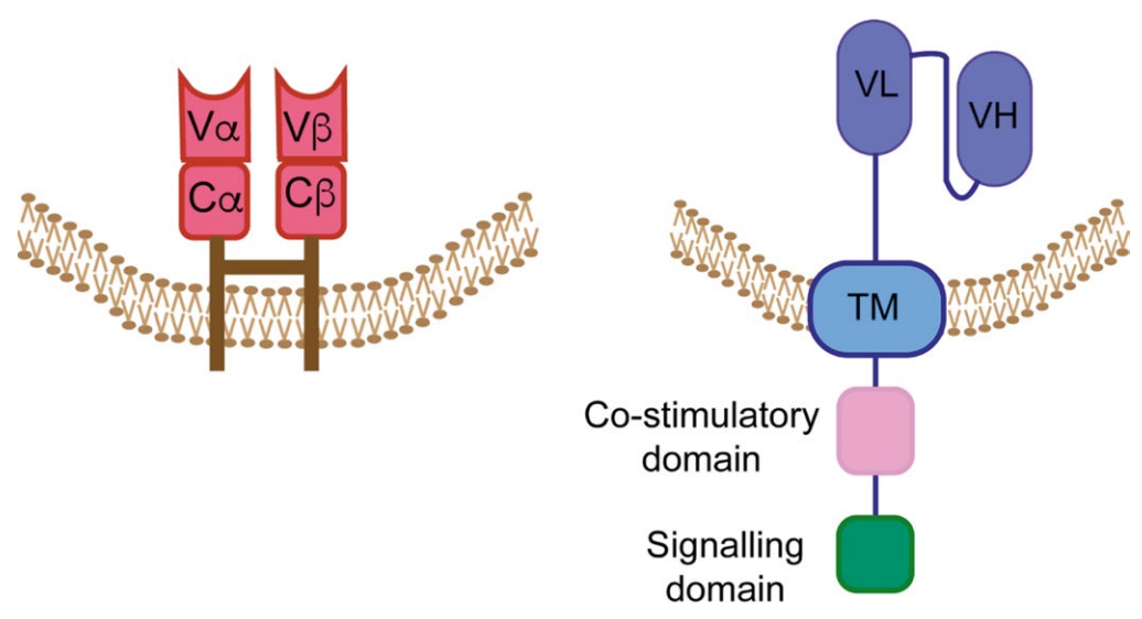 1775528526740169.png 556.png