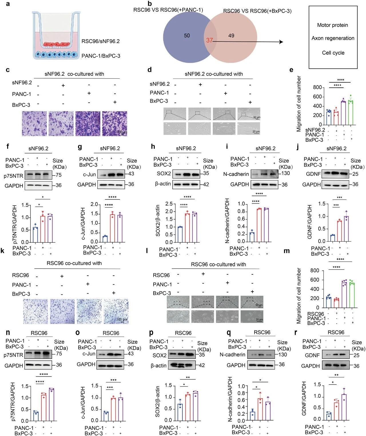 1775634669245888.jpg 557.jpg