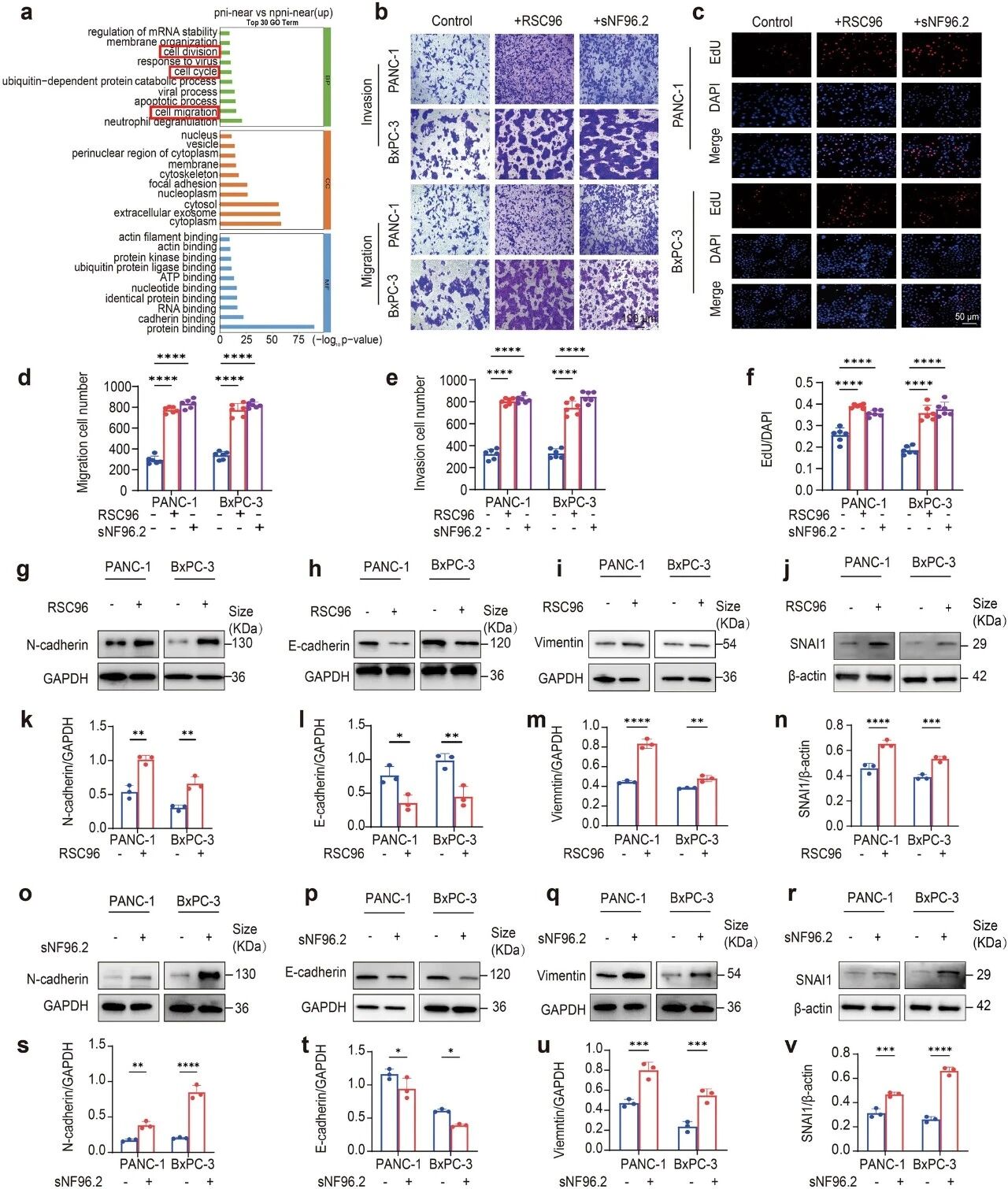 1775634677674153.jpg 558.jpg