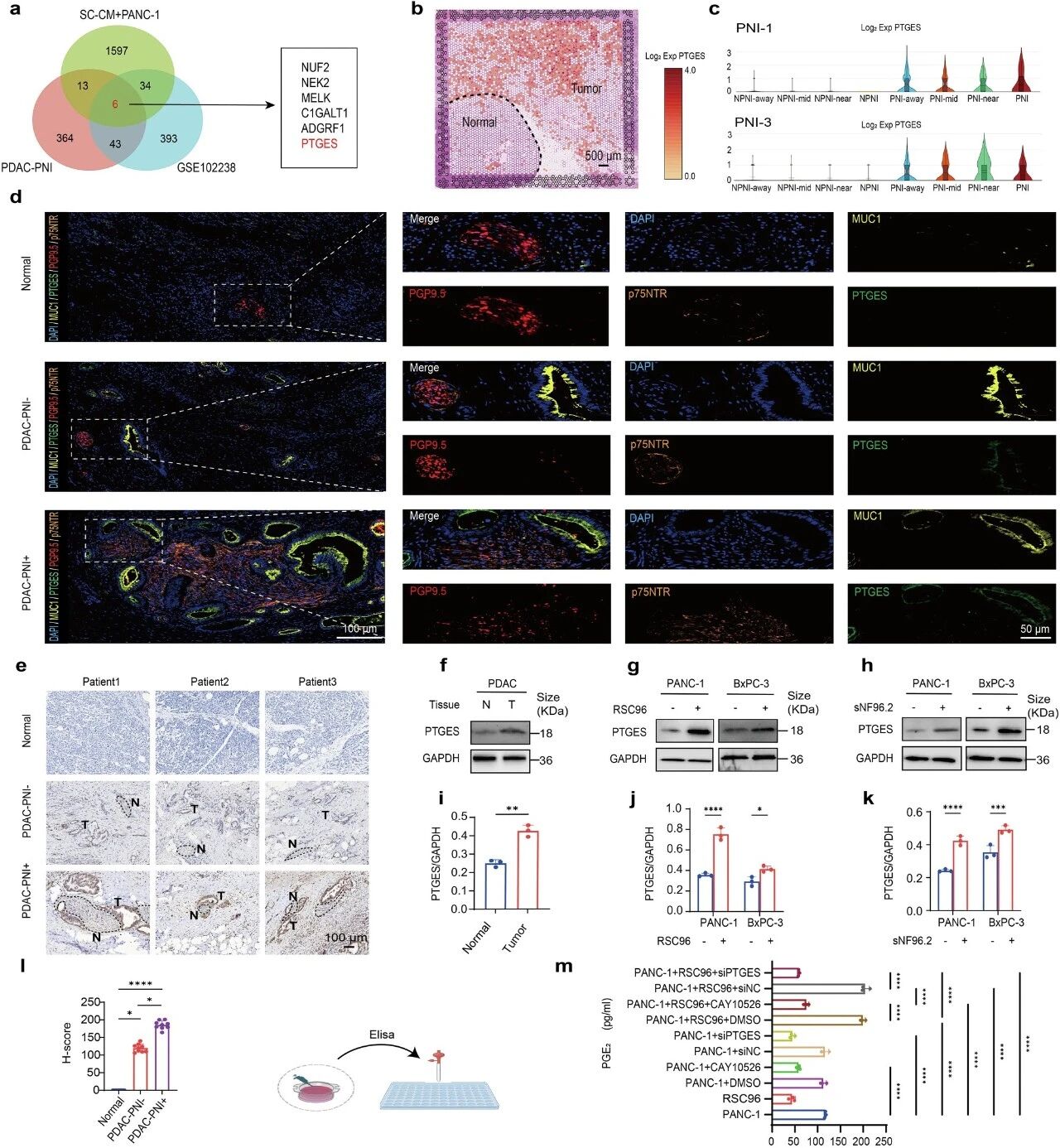 1775634686184818.jpg 559.jpg
