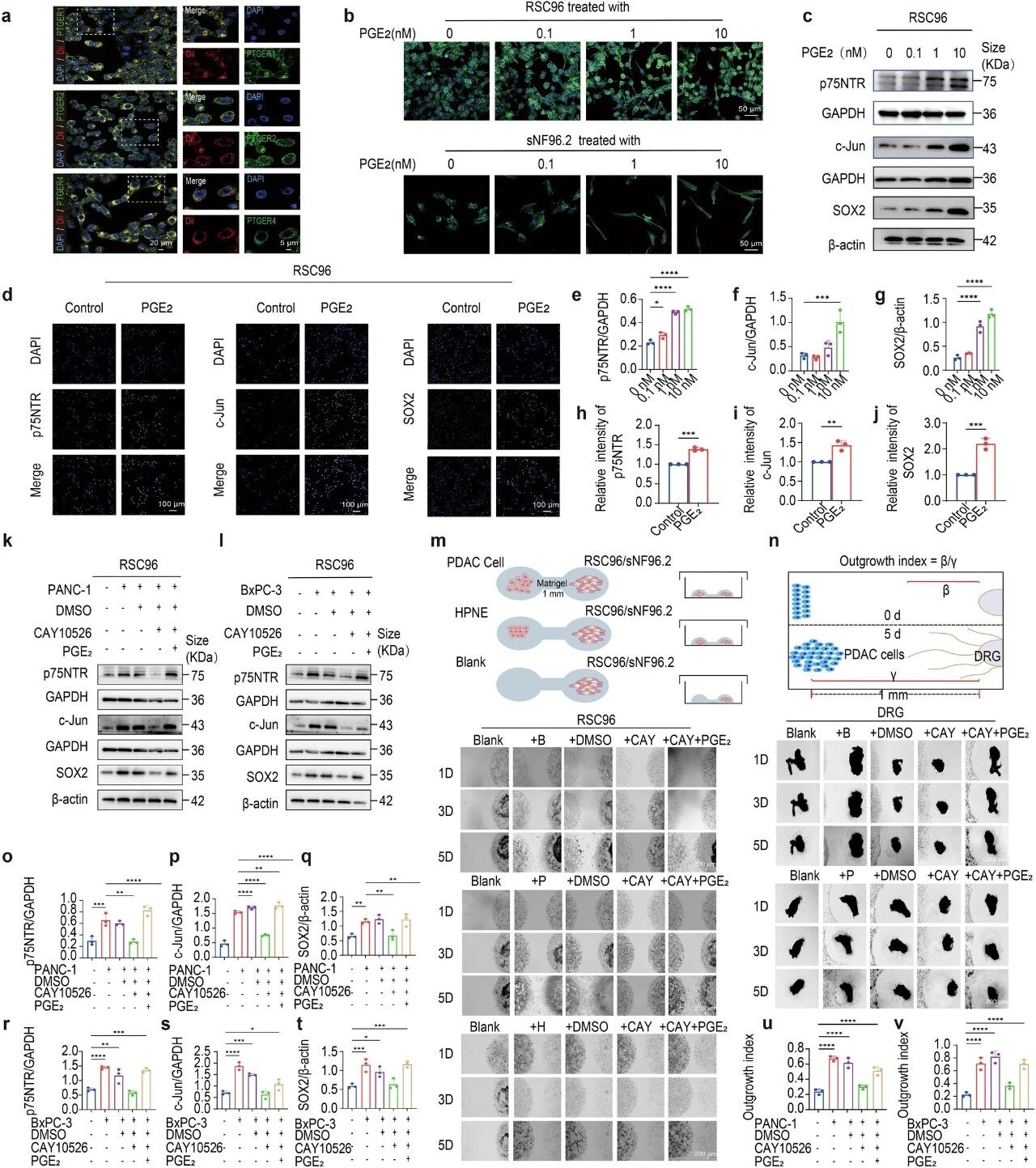 1775634694125433.jpg 560.jpg