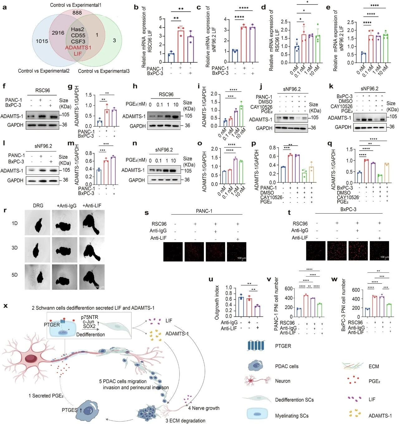 1775634702269685.jpg 561.jpg
